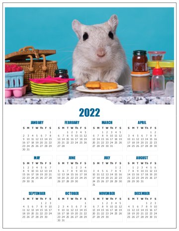 2022 Magnetic Gerbil Calendar - Gerbil Meets Mouse Publishing